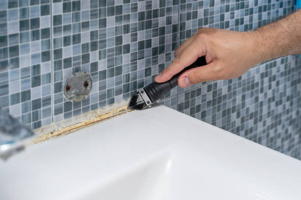Best Certified Mold Removal  in Hazel Park, MI